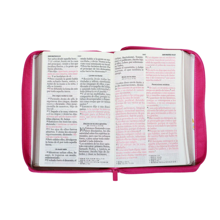 Biblia RVR1960 Gracia lt gigante flores rosas cierre manual 14pt 068PJR