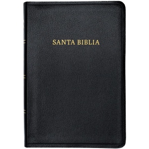 Biblia RVR1960 Letra gigante negro 2023  imitación piel