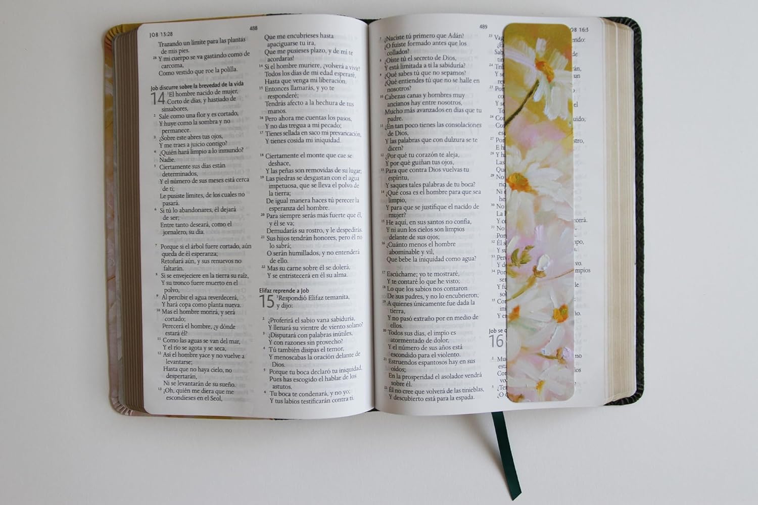 Biblia RVR1960 letra grande piel verde flores manual 10.5pt