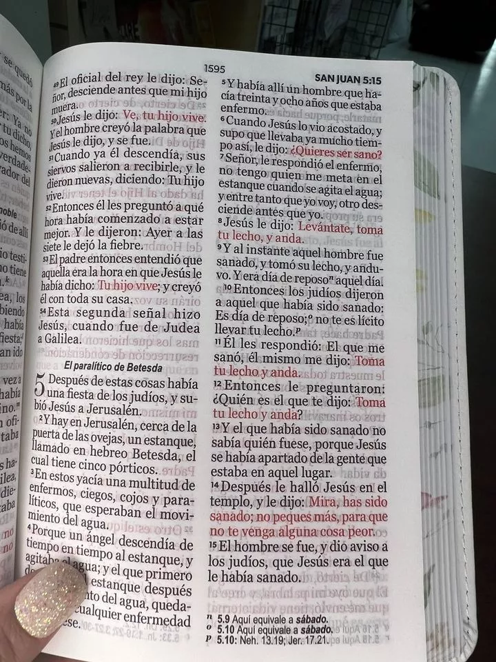 Biblia RVR1960 Primaveral lila claro im piel chica 11pt LG PRJ