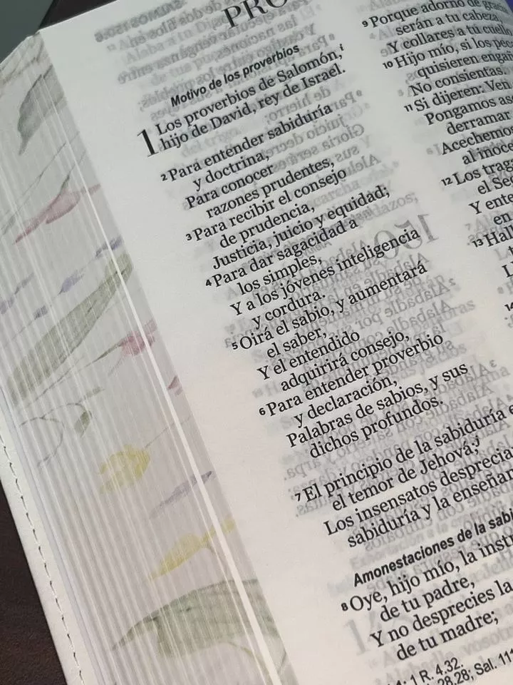 Biblia RVR1960 Primaveral lila claro im piel chica 11pt LG PRJ