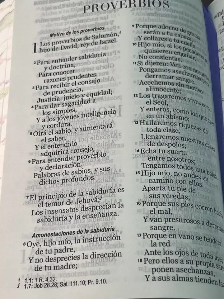 Biblia RVR1960 Primaveral lila claro im piel chica 11pt LG PRJ