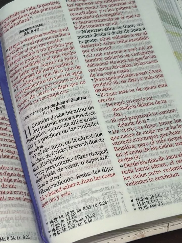 Biblia RVR1960 Primaveral lila claro im piel chica 11pt LG PRJ