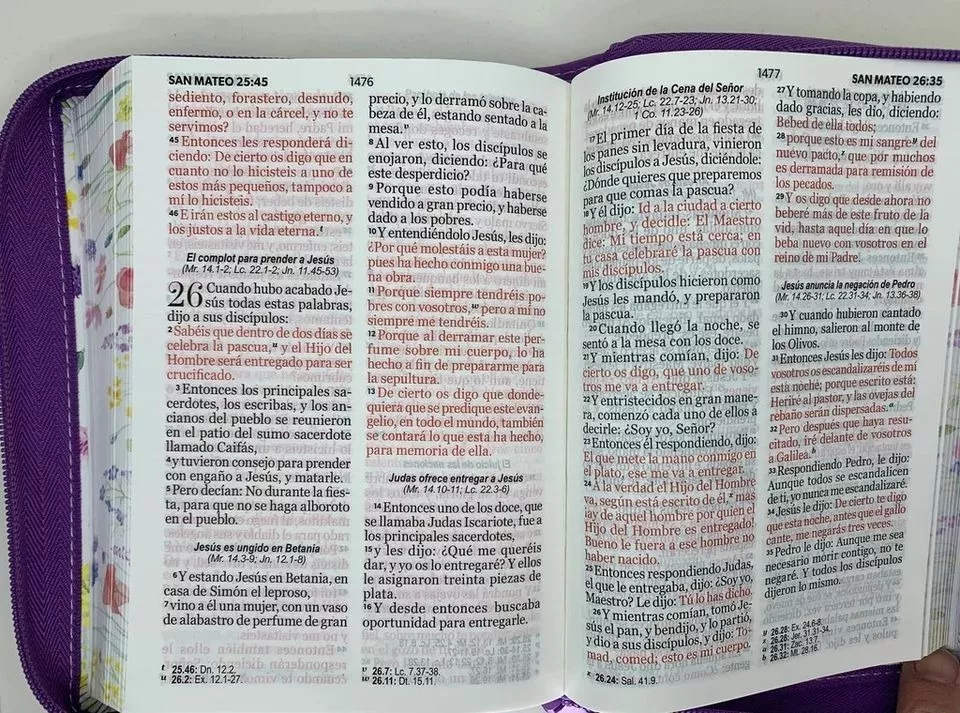 Biblia RVR1960 Primaveral lila oscuro im piel cierre chica 11pt LG PRJ
