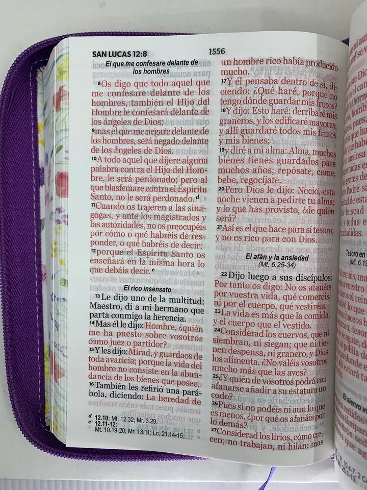 Biblia RVR1960 Primaveral lila oscuro im piel cierre chica 11pt LG PRJ