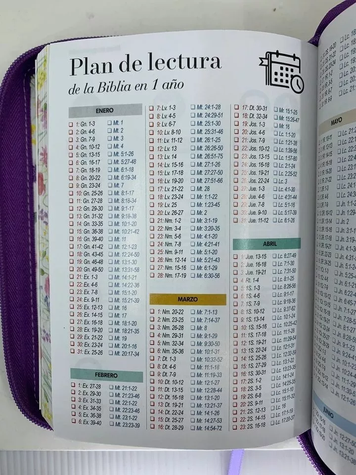 Biblia RVR1960 Primaveral lila oscuro im piel cierre chica 11pt LG PRJ
