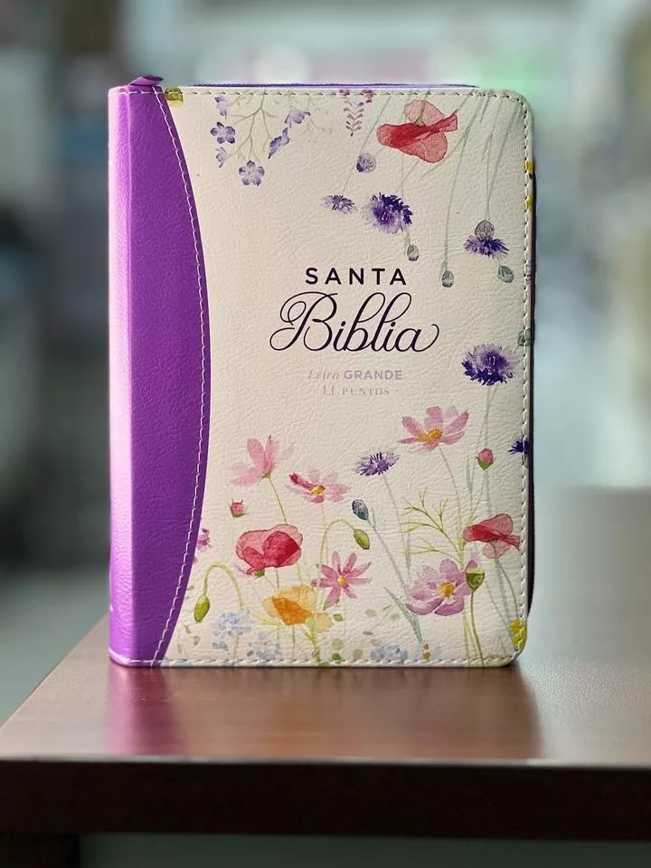 Biblia RVR1960 Primaveral lila oscuro im piel cierre chica 11pt LG PRJ