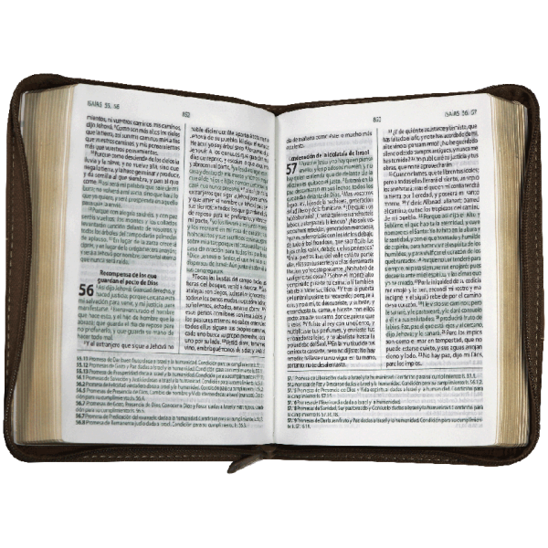 Biblia RVR1960 estudio promesas café RVR45cZEELM - Image 3