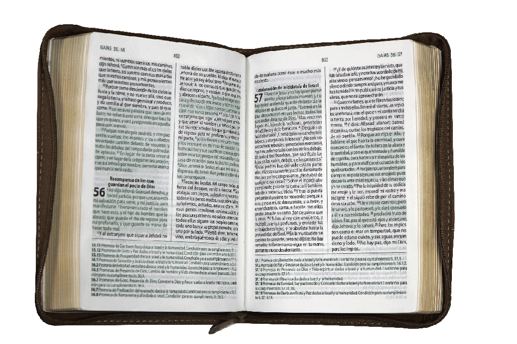 Biblia RVR1960 estudio promesas café RVR45cZEELM - Image 3