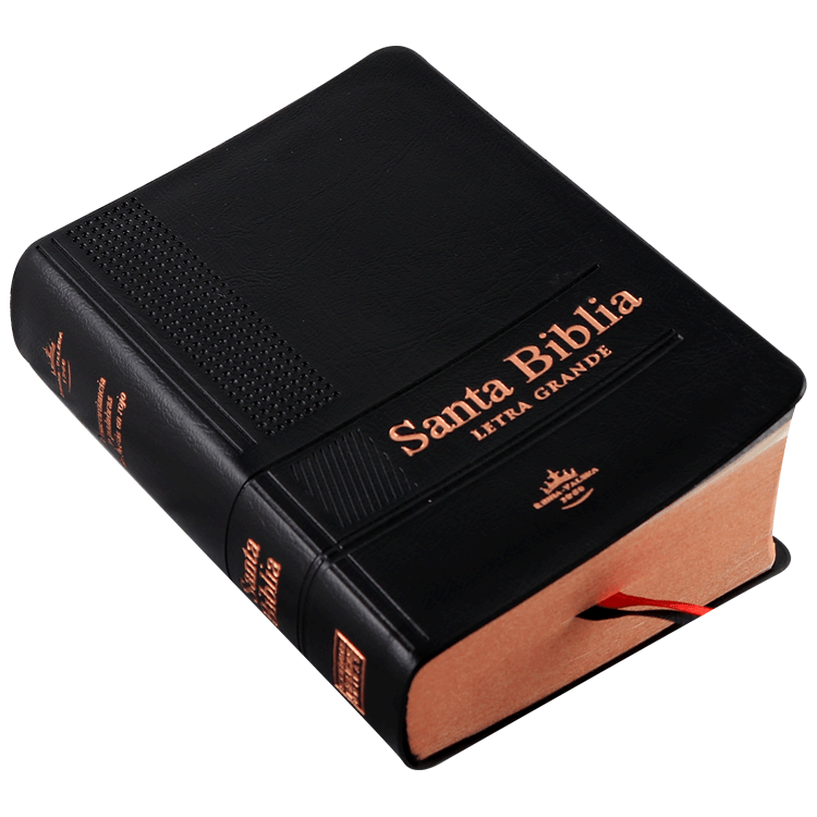 Biblia RVR1960 bolsillo vinilo negro 12pt RVR022cLGPJRTI - Image 4