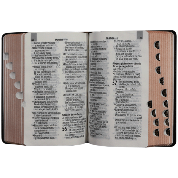 Biblia RVR1960 bolsillo vinilo negro 12pt RVR022cLGPJRTI - Image 3