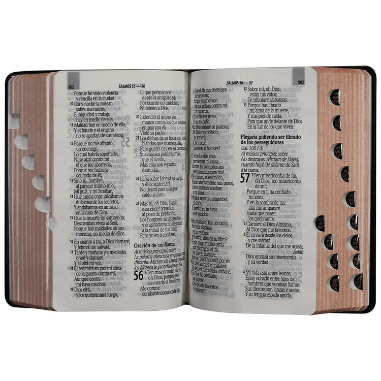 Biblia RVR1960 bolsillo vinilo negro 12pt RVR022cLGPJRTI - Image 3