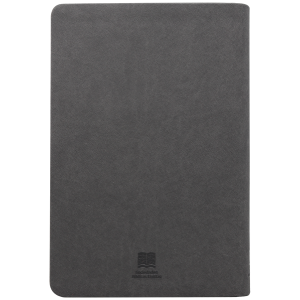 Biblia RVC mediana gris im piel 11pt RVC066cLG - Image 2