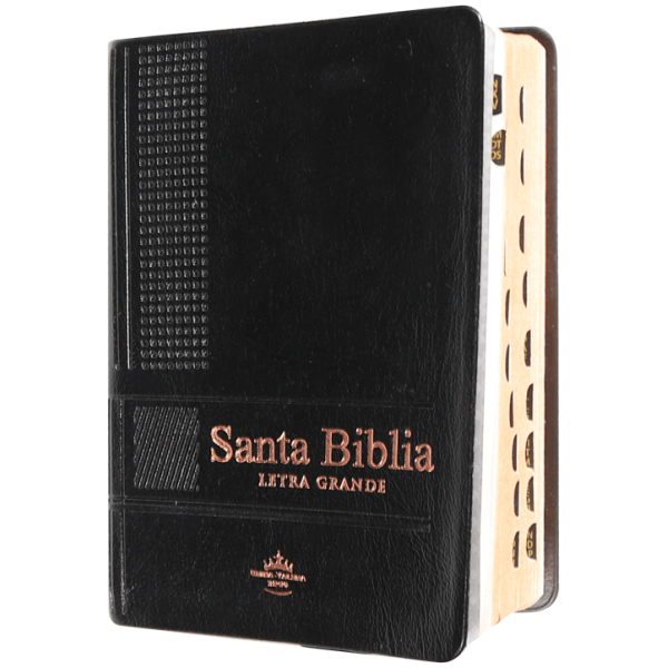Biblia RVR1960 bolsillo vinilo negro 12pt RVR022cLGPJRTI - Image 2