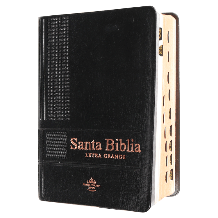 Biblia RVR1960 bolsillo vinilo negro 12pt RVR022cLGPJRTI - Image 2