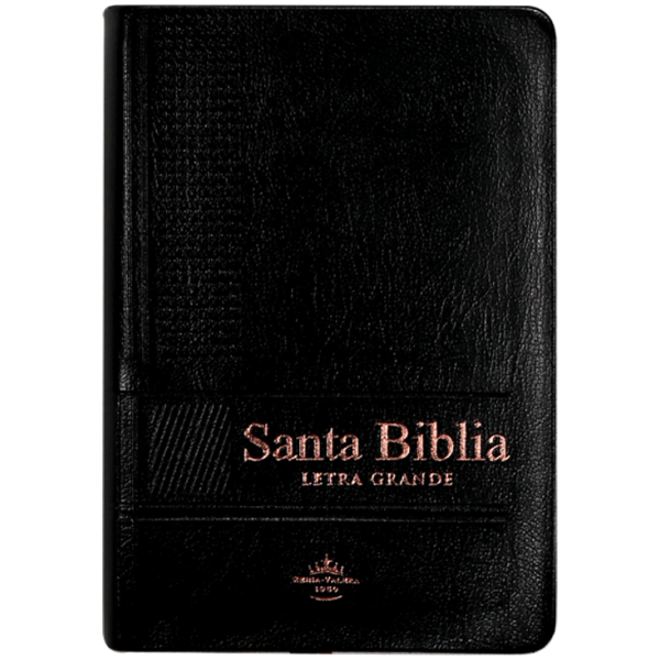 Biblia RVR1960 bolsillo vinilo negro 12pt RVR022cLGPJRTI