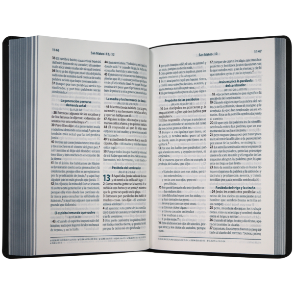 Biblia RVC mediana gris im piel 11pt RVC066cLG - Image 3