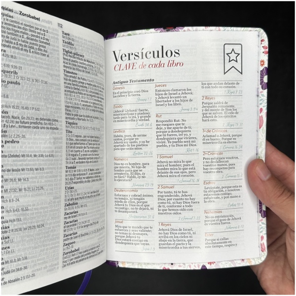 Biblia RVR1960 Primaveral lila oscuro 11pt fantasía - Image 8
