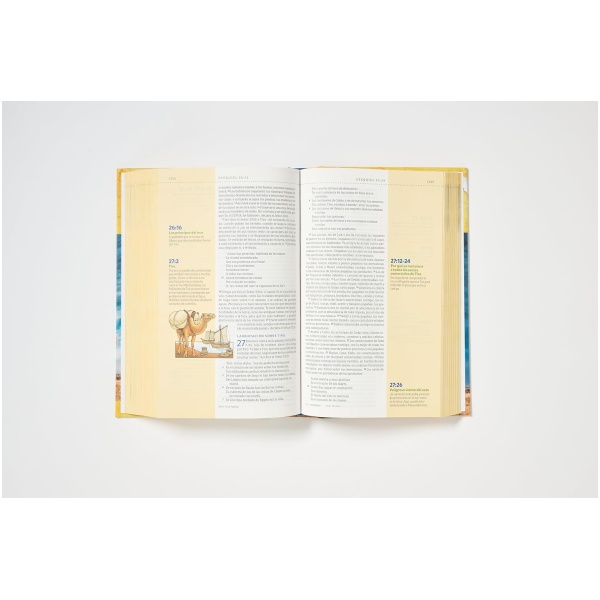 Biblia NBLA Visual de estudio para niños tapa dura - Image 4