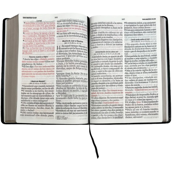 Biblia RVR1960 Clásica negra super gigante 19pt 095LSGPJR - Image 6