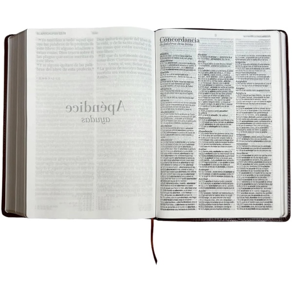Biblia RVR1960 Clásica café super gigante 19pt 095LSGPJR - Image 7