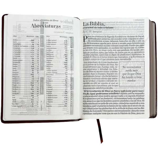 Biblia RVR1960 Clásica café super gigante 19pt 095LSGPJR - Image 5