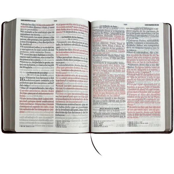 Biblia RVR1960 Clásica café super gigante 19pt 095LSGPJR - Image 6