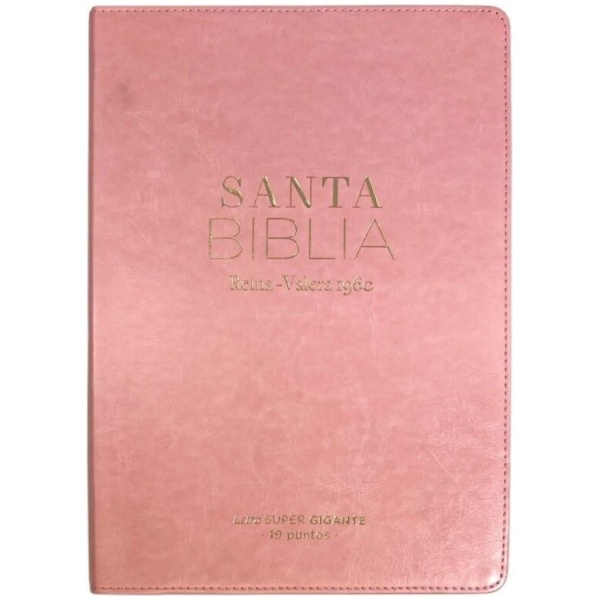 Biblia RVR1960 Clásica rosa super gigante 19pt 095LSGPJR