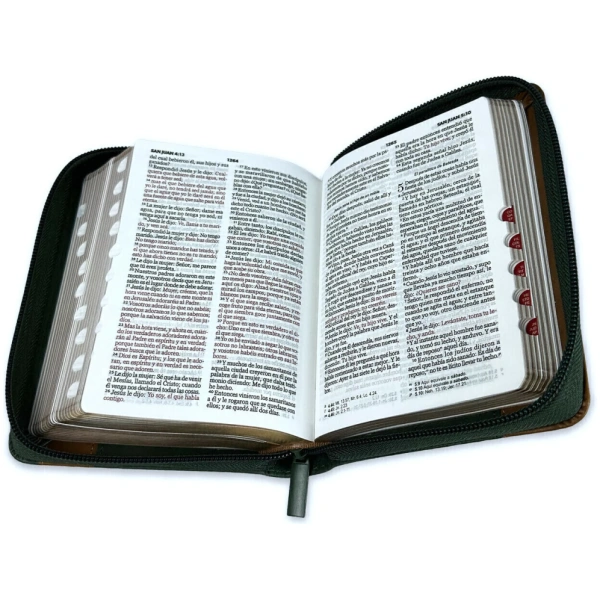 Biblia RVR1960 Elegante verde café cierre índice 8.5pt - Image 2