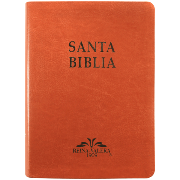 Biblia RV1909 grande café VR085LM - Image 3
