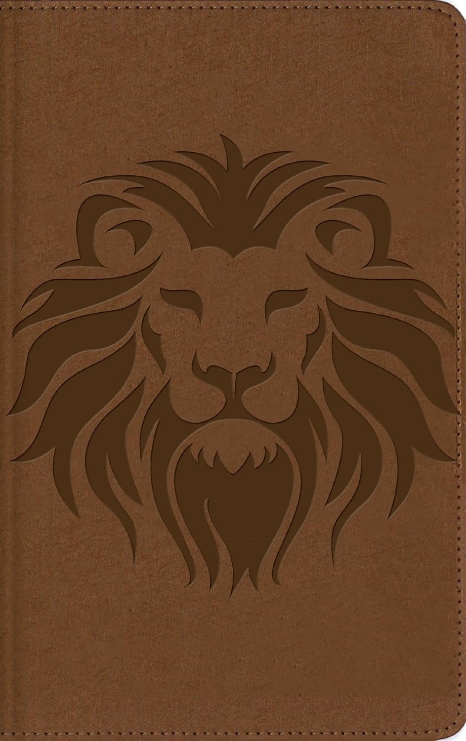 Biblia NBLA Visual de estudio para niños cafe imit piel