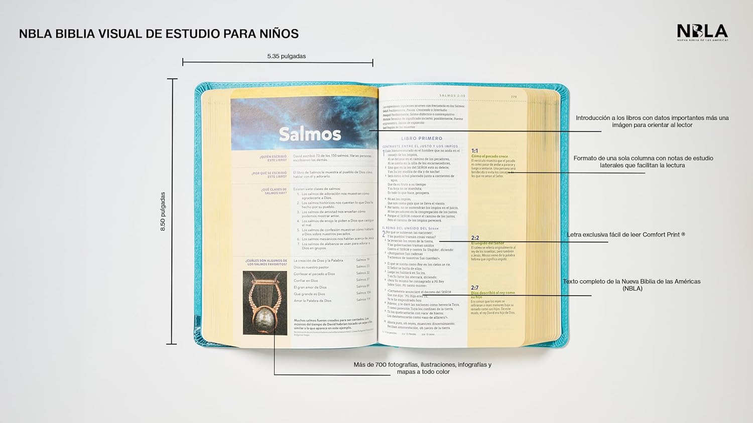 Biblia NBLA visual de estudio para niños turquesa