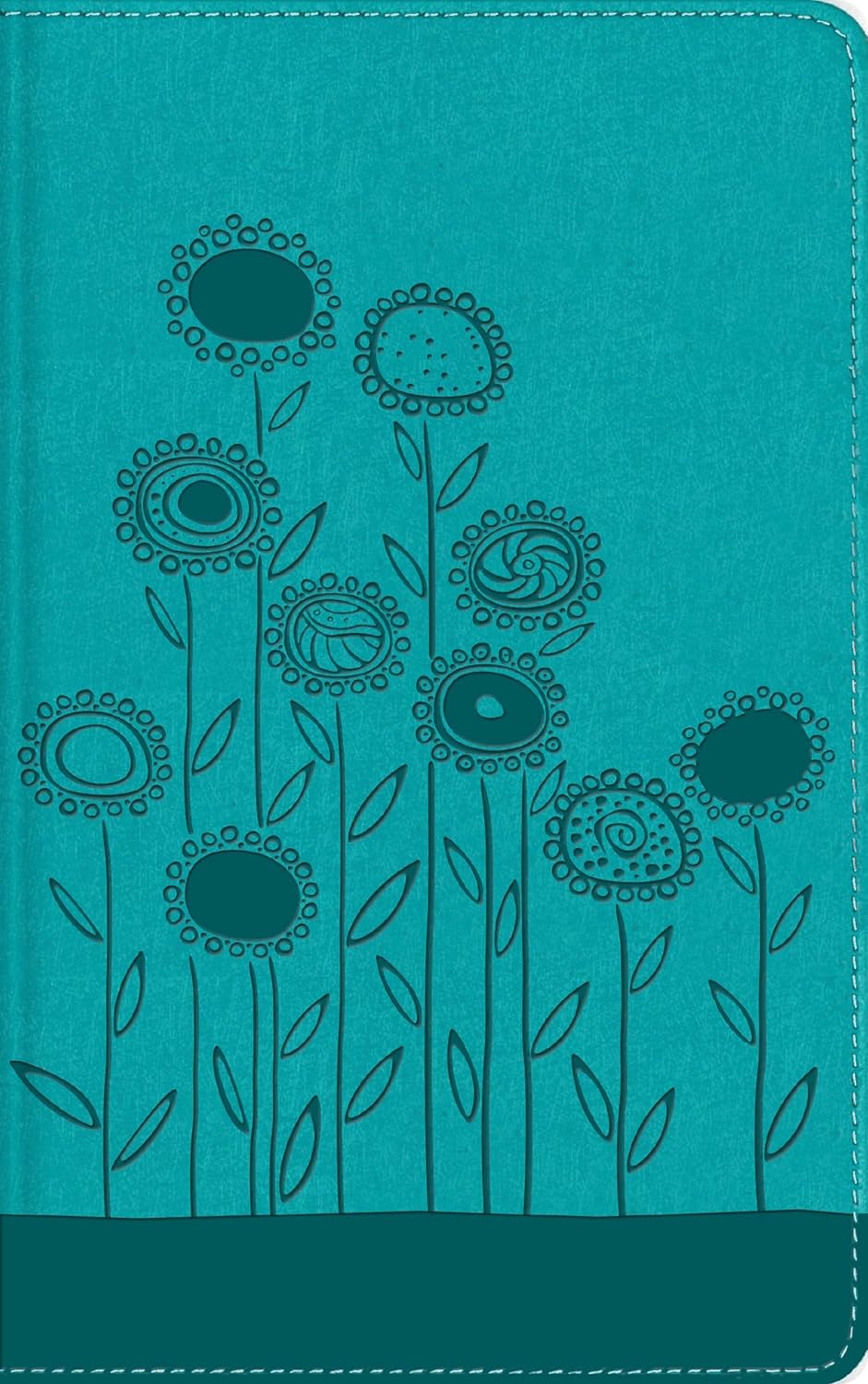 Biblia NBLA visual de estudio para niños turquesa