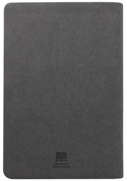 Biblia RVC mediana gris im piel 11pt RVC066cLG