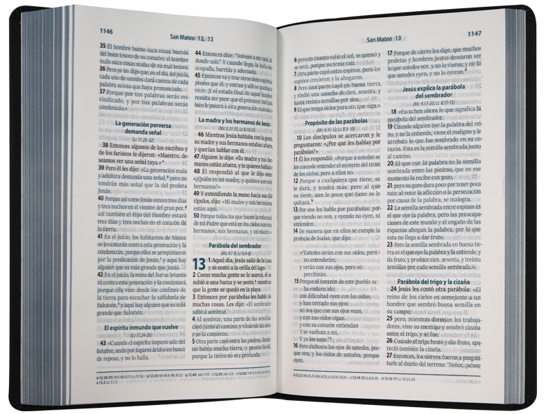 Biblia RVC mediana gris im piel 11pt RVC066cLG