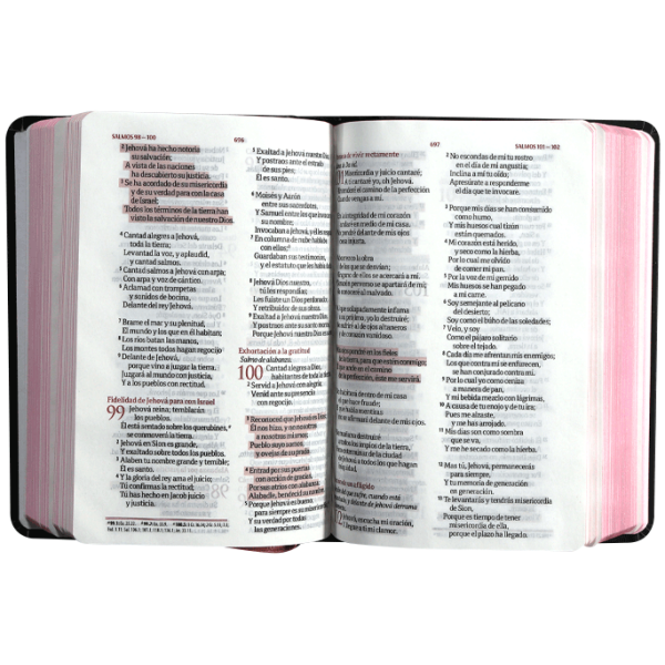 Biblia RVR1960 Fuente de bendiciones chica tapa dura negro flores 9pt RVR043cLMFB - Image 4