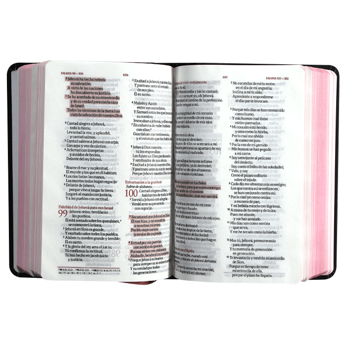 Biblia RVR1960 Fuente de bendiciones chica tapa dura negro flores 9pt RVR043cLMFB - Image 4