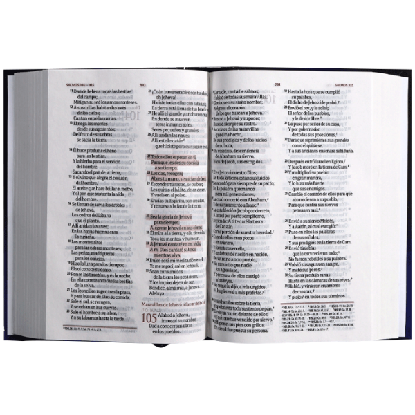 Biblia RVR1960 Fuente de Bendiciones chica tapa dura azul 9pt RVR043cLMFB - Image 4
