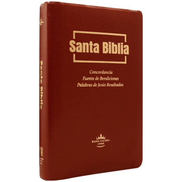 Biblia RVR1960 Fuente de bendiciones mediana im piel vino 9pt RVR.65uecFBPJR