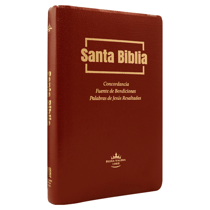 Biblia RVR1960 Fuente de bendiciones mediana im piel vino 9pt RVR.65uecFBPJR