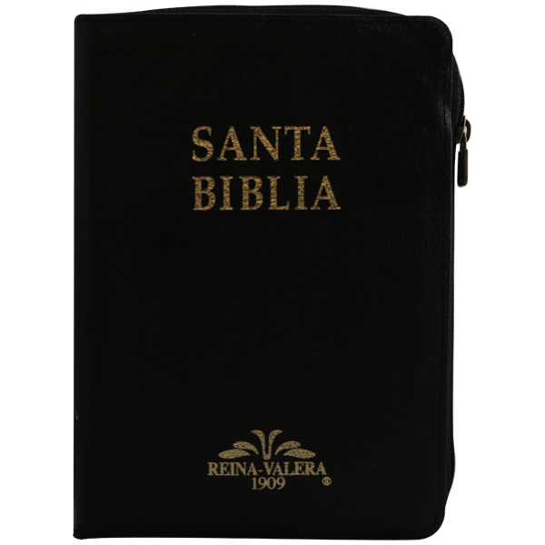 Biblia RV1909 mediana negro VR059ZTI