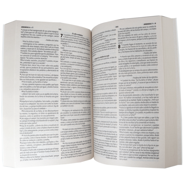 Biblia RVC misionera rayas RVC060e - Image 3