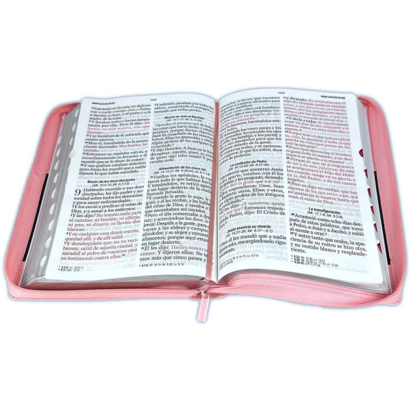 Biblia RVR1960 Classic rosa cafe im piel cierre índice 19pt 095PJR - Image 2