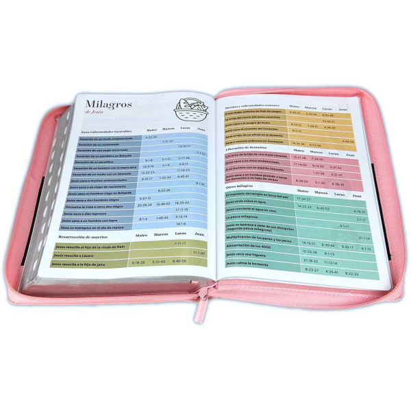Biblia RVR1960 Classic rosa cafe im piel cierre índice 19pt 095PJR - Image 3