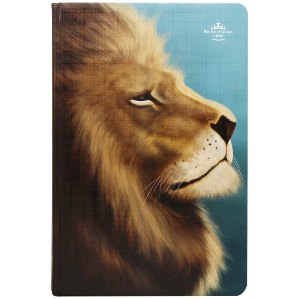 Biblia RVR1960 mediana lt gigante tapa dura León azul 13pt RVR063cLGPJR - Image 3