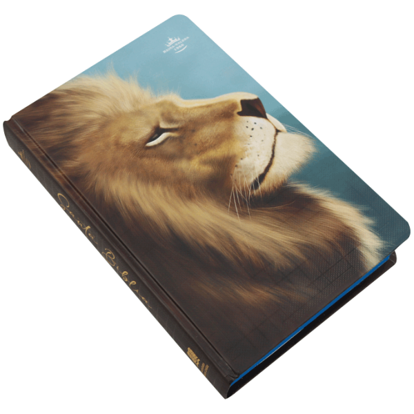Biblia RVR1960 mediana lt gigante tapa dura León azul 13pt RVR063cLGPJR - Image 4