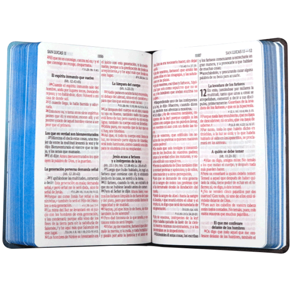 Biblia RVR1960 mediana lt gigante tapa dura León azul 13pt RVR063cLGPJR - Image 2