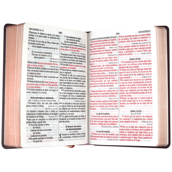 Biblia RVR1960 mediana lt gigante tapa dura rosas 13pt RVR063cLGPJR - Image 2