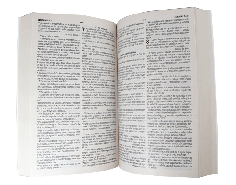 Biblia RVC misionera rayas RVC060e