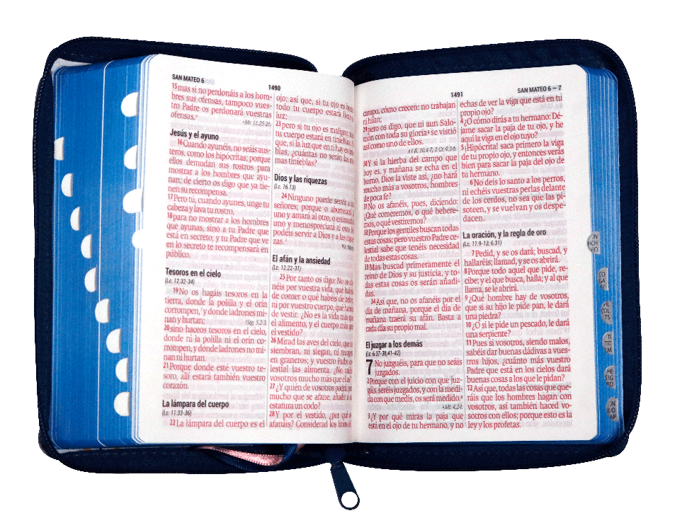 Biblia RVR1960 chica flores azul 11pt RVR046cLGPJRZTI